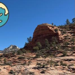 ArcGIS Thumbnail Builder Next